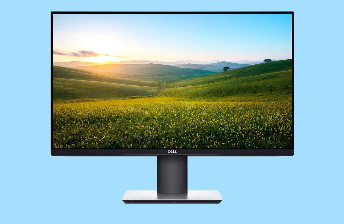 The best Dell monitors