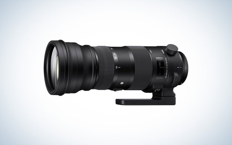 Sigma 150-600mm f/5-6.3 DG OS HSM Sports