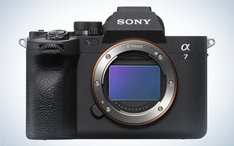 Sony A7 IV es la mejor cámara Sony para fotografía de alimento