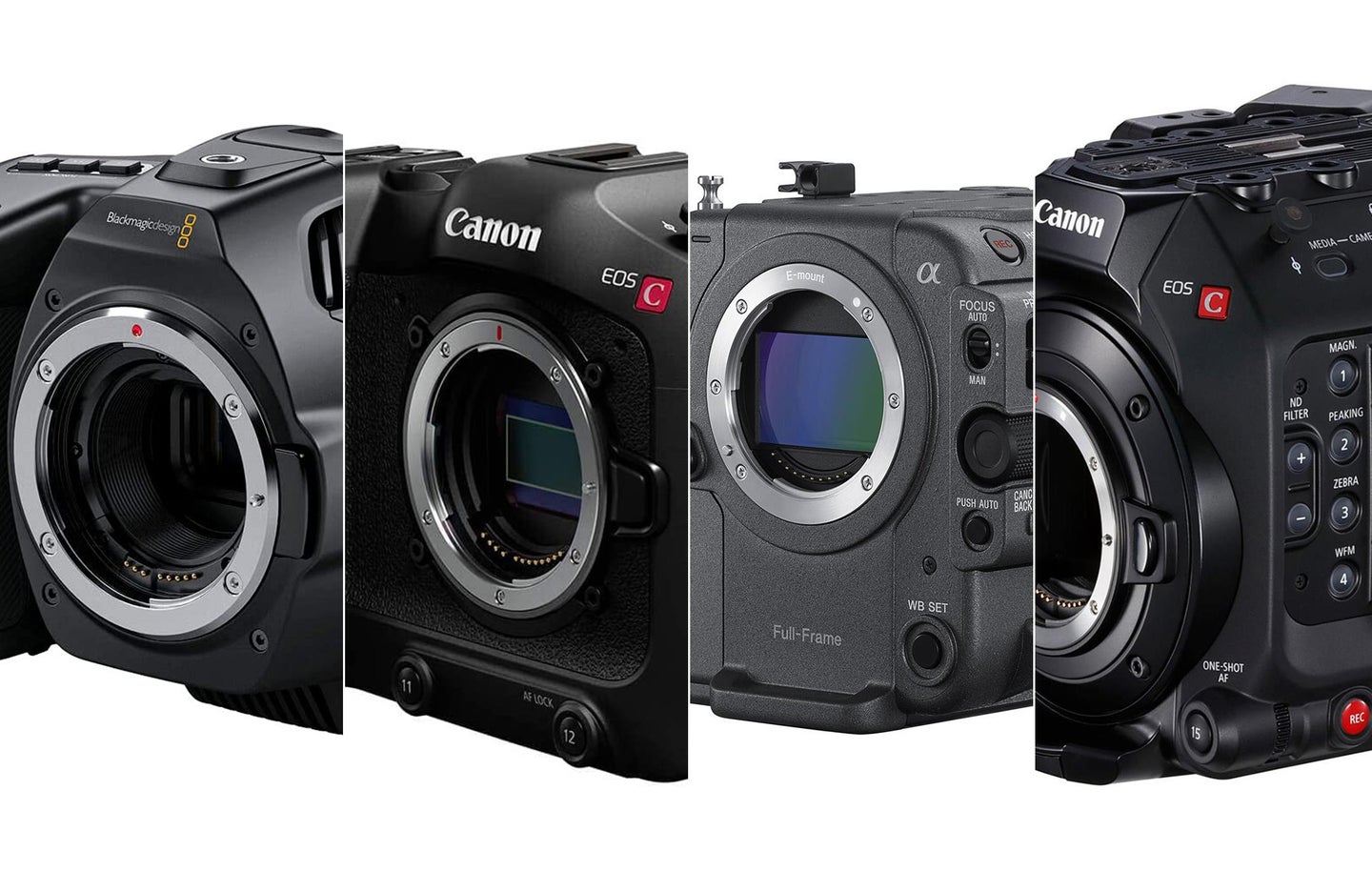 The best cinema cameras composited