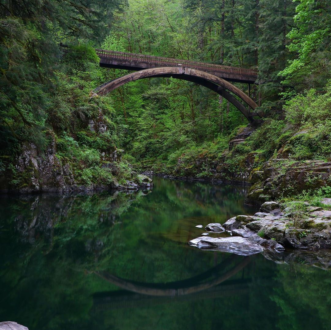 bridge crosses peaceful river between the forest
