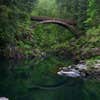 bridge crosses peaceful river between the forest