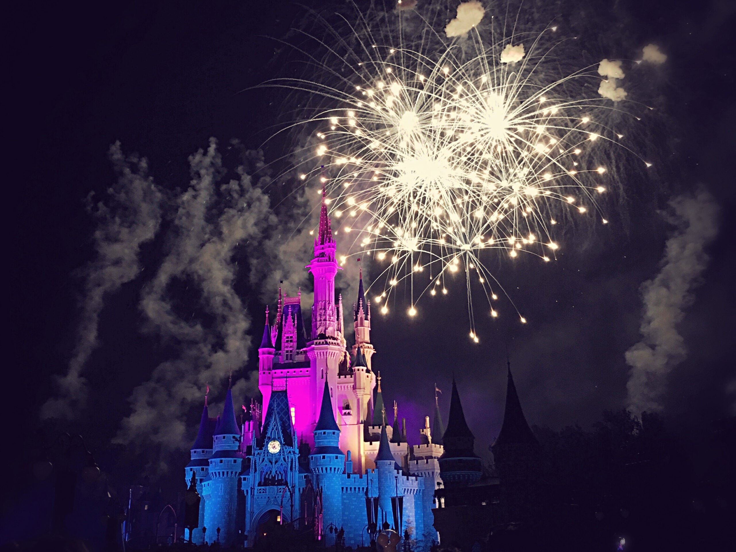 Fireworks in Disney World