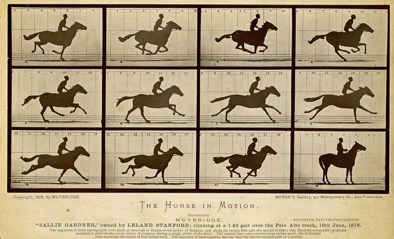 muybridge horse in motion