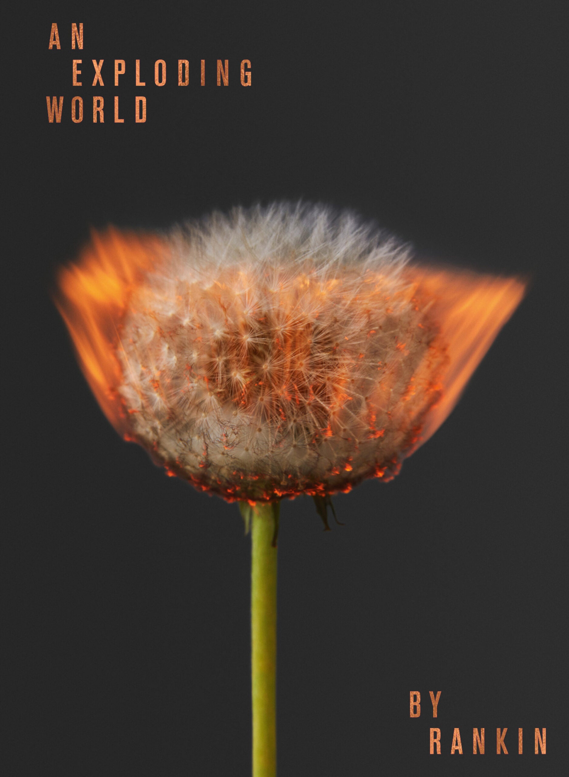   O novo livro de Rankin, Exploding World.