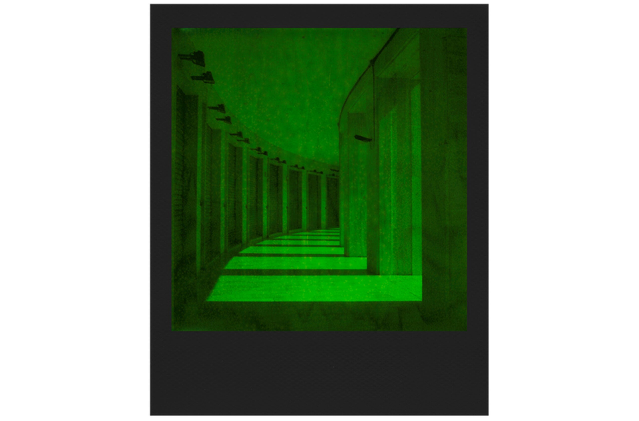New Polaroid Duochrome Green 600 Film