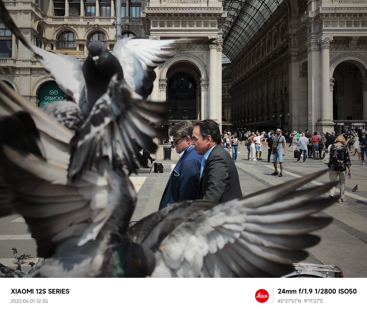 Xiaomi Leica Beispielbild Tauben