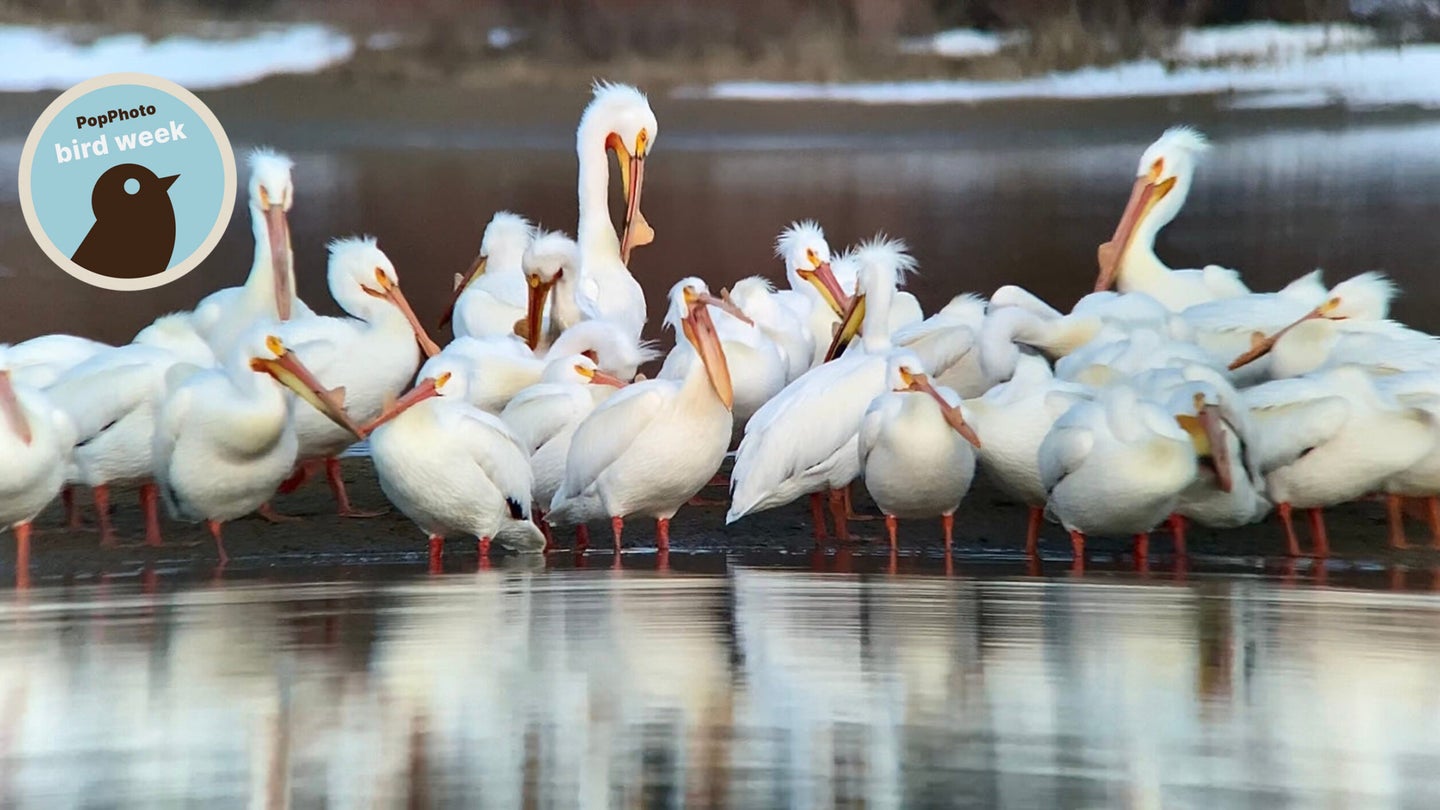 The Top 10 Photography Lighting Facts You Should Know Popular Photography