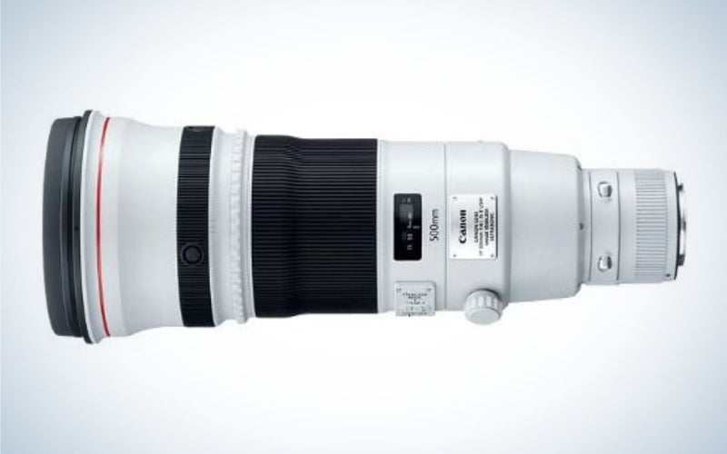 Canon EF 500mm f/4L IS II USM Lens