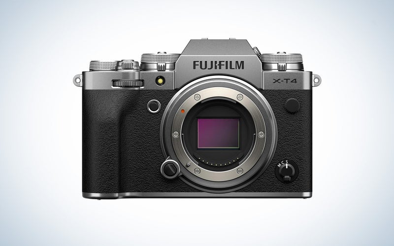 The Fujifilm X-T4 is the best Fuji camera for bird photography.