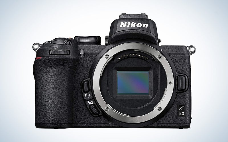 The Z50 is Nikon's best budget camera for bird photography.