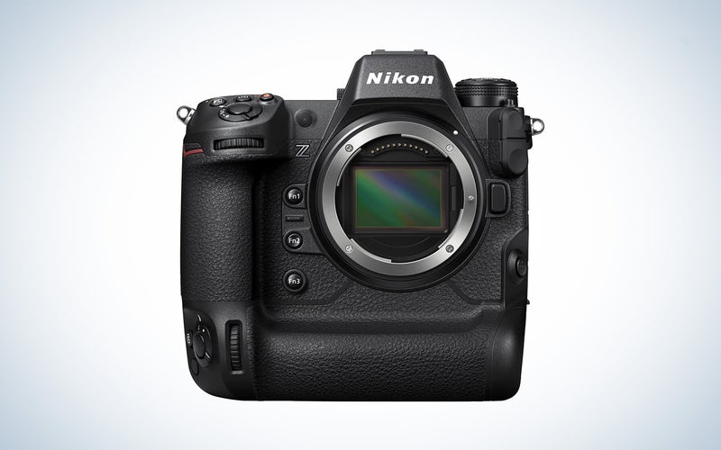 The Nikon Z9 is the best Nikon camera for bird photography.