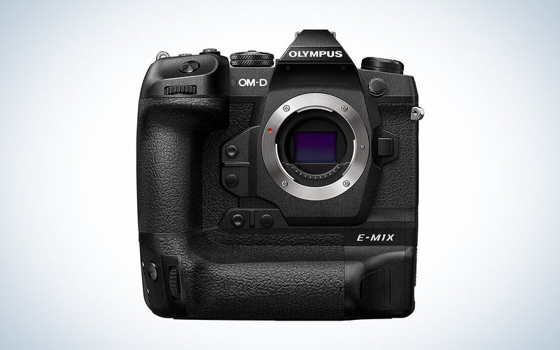 The OM-D E-M1X is the best Olympus camera for bird photography.