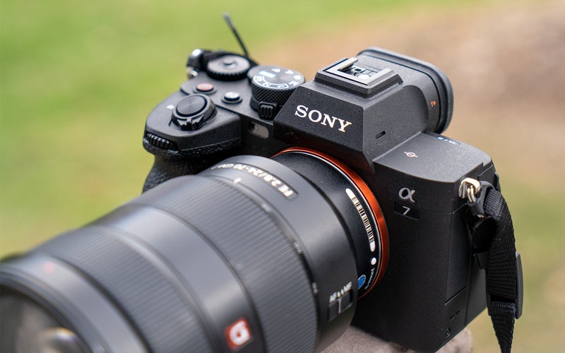 The a7 IV is the best Sony camera for bird photography.