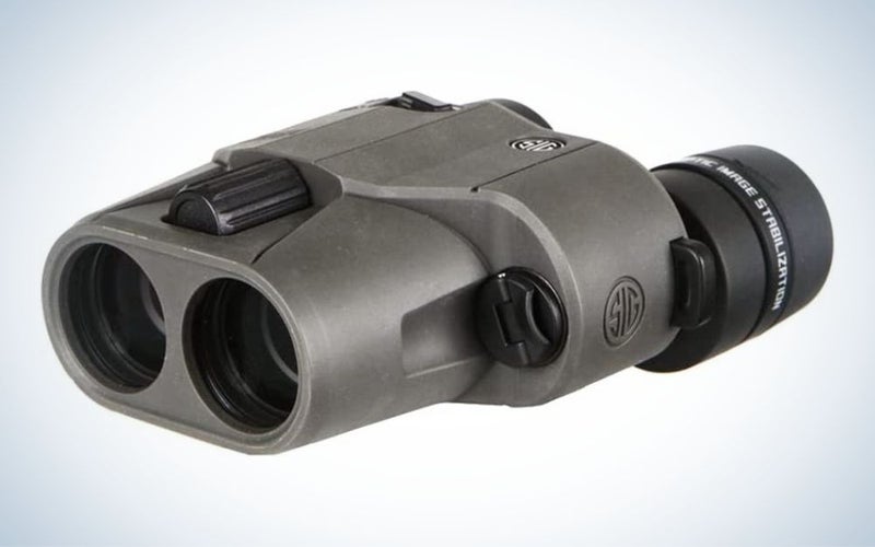 Sig Sauer ZULU6 10x30 are the best image stabilized binoculars for hunting.