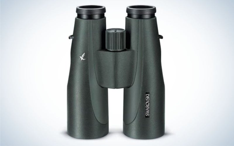 The best image stabilized binoculars of 2023 Popular Photography