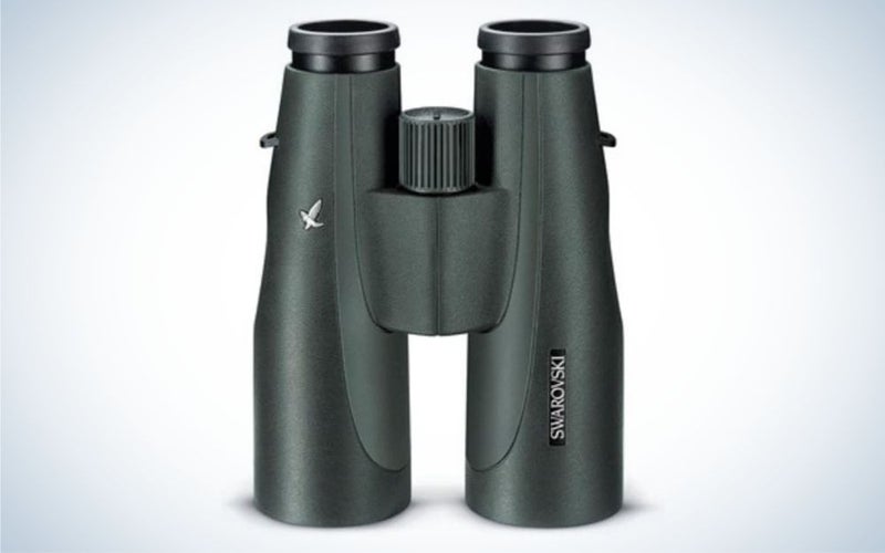 Swarvoski SLC 15x56 are the best image stabilized binoculars for birding.