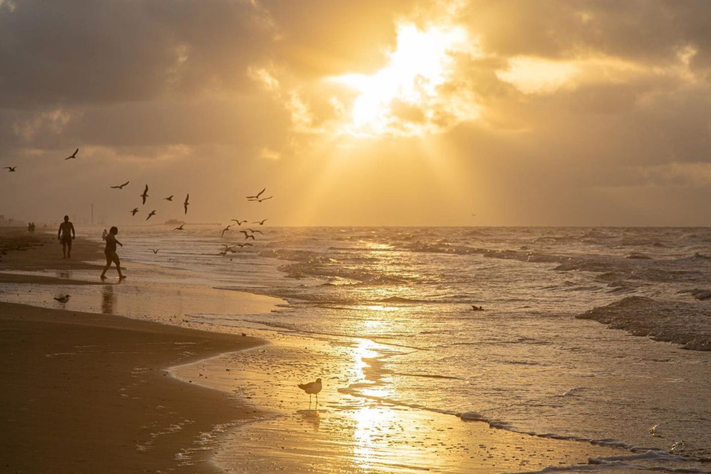 beach sunset