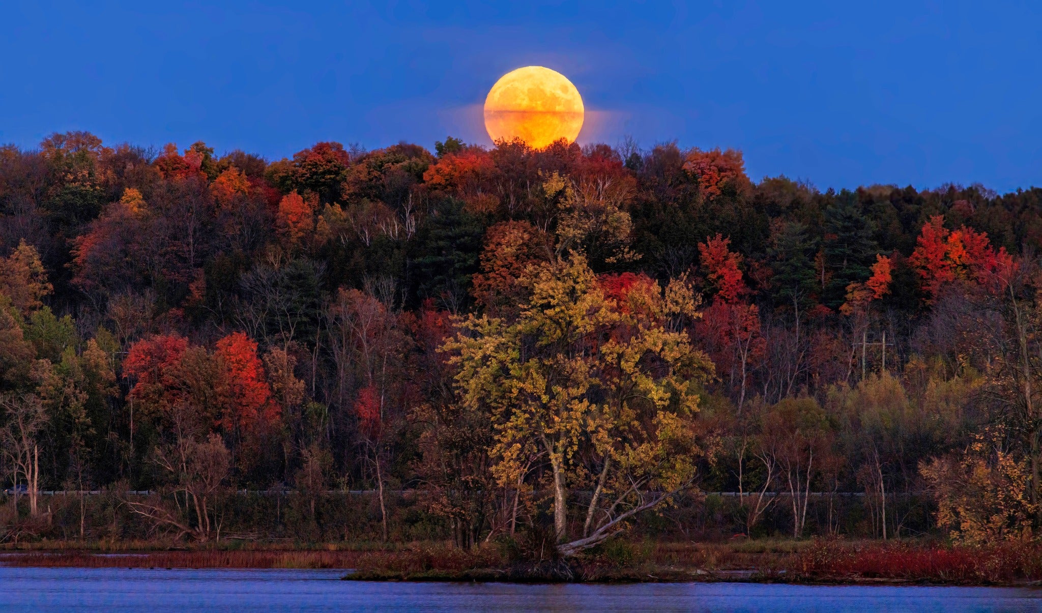 harvest moon Petrie Island, Ottawa