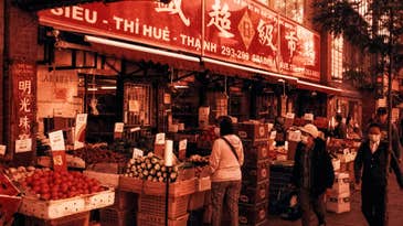 How to shoot redscale film How to shoot redscale film