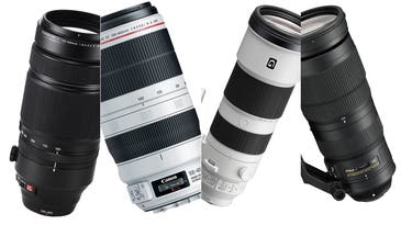Best lenses for bird photography in 2023