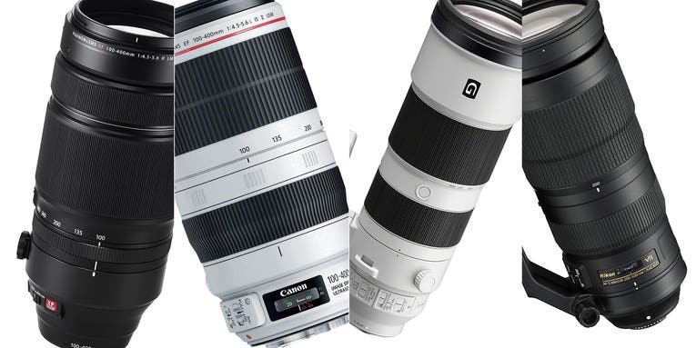 Best lenses for bird photography in 2023