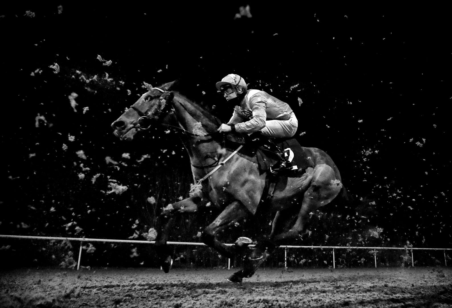 world sports photography awards horse racing