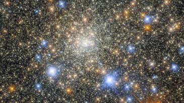 Hubble dazzles with a new image of a globular cluster Hubble dazzles with a new image of a globular cluster