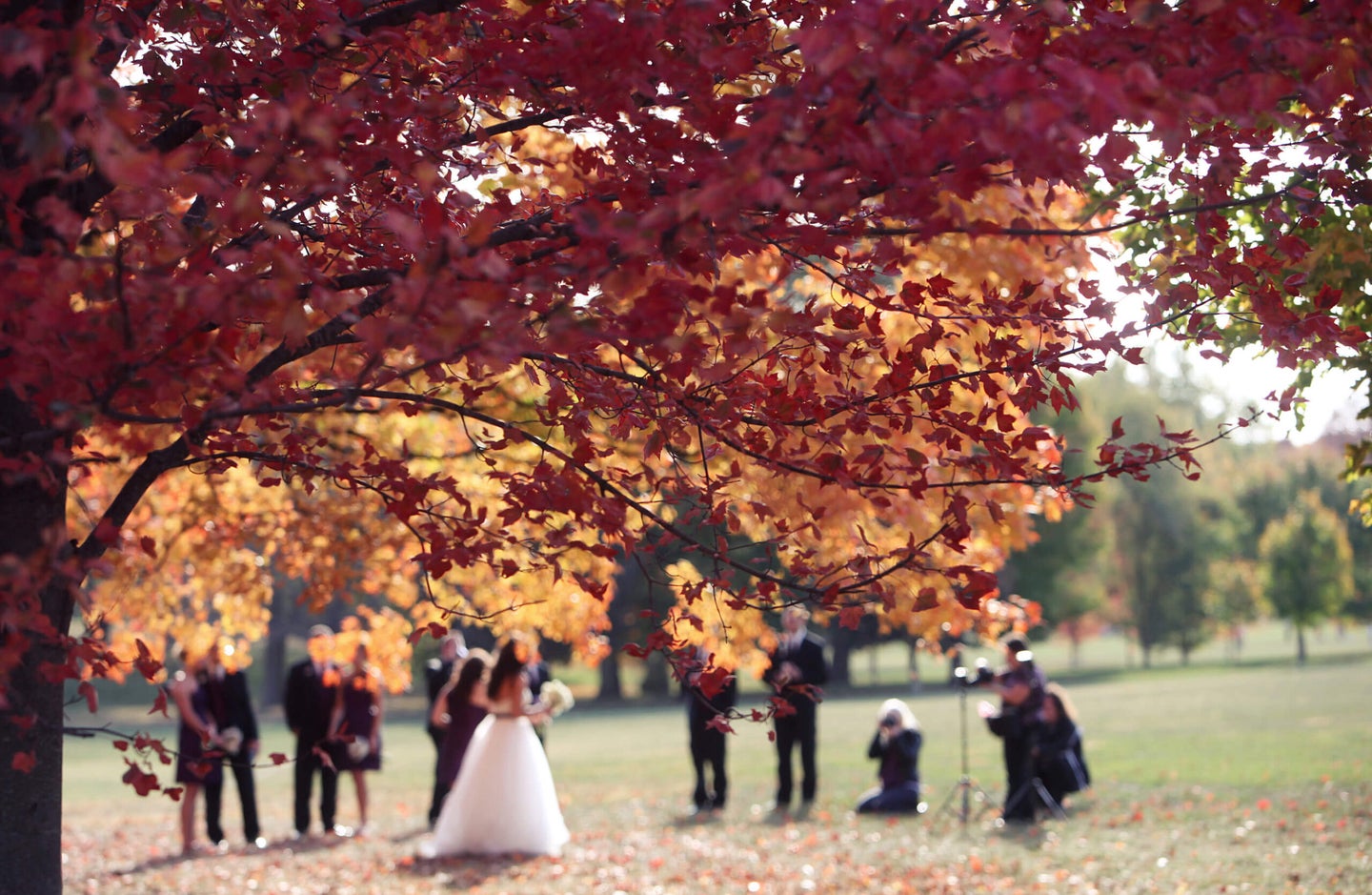 wedding photography