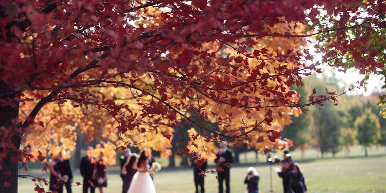 Unhappily-ever-after: Bankrupt wedding photographer leaves hundreds of couples hanging