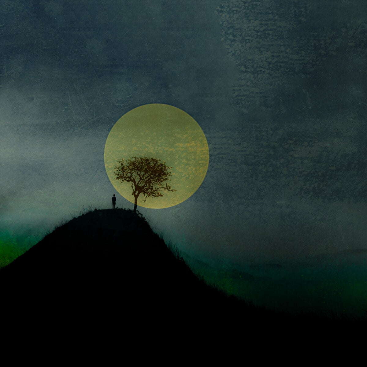 árvore em uma colina contra uma grande lua