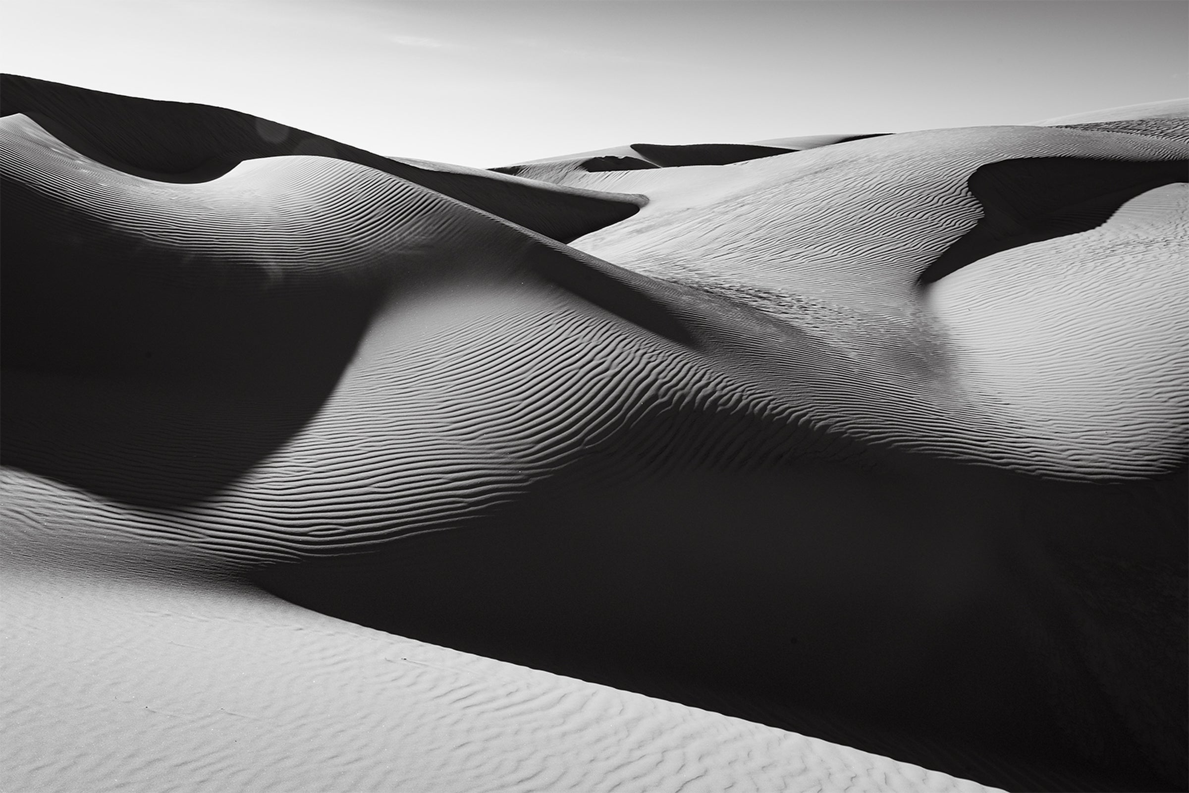 Oceano Dunes, CA #48.