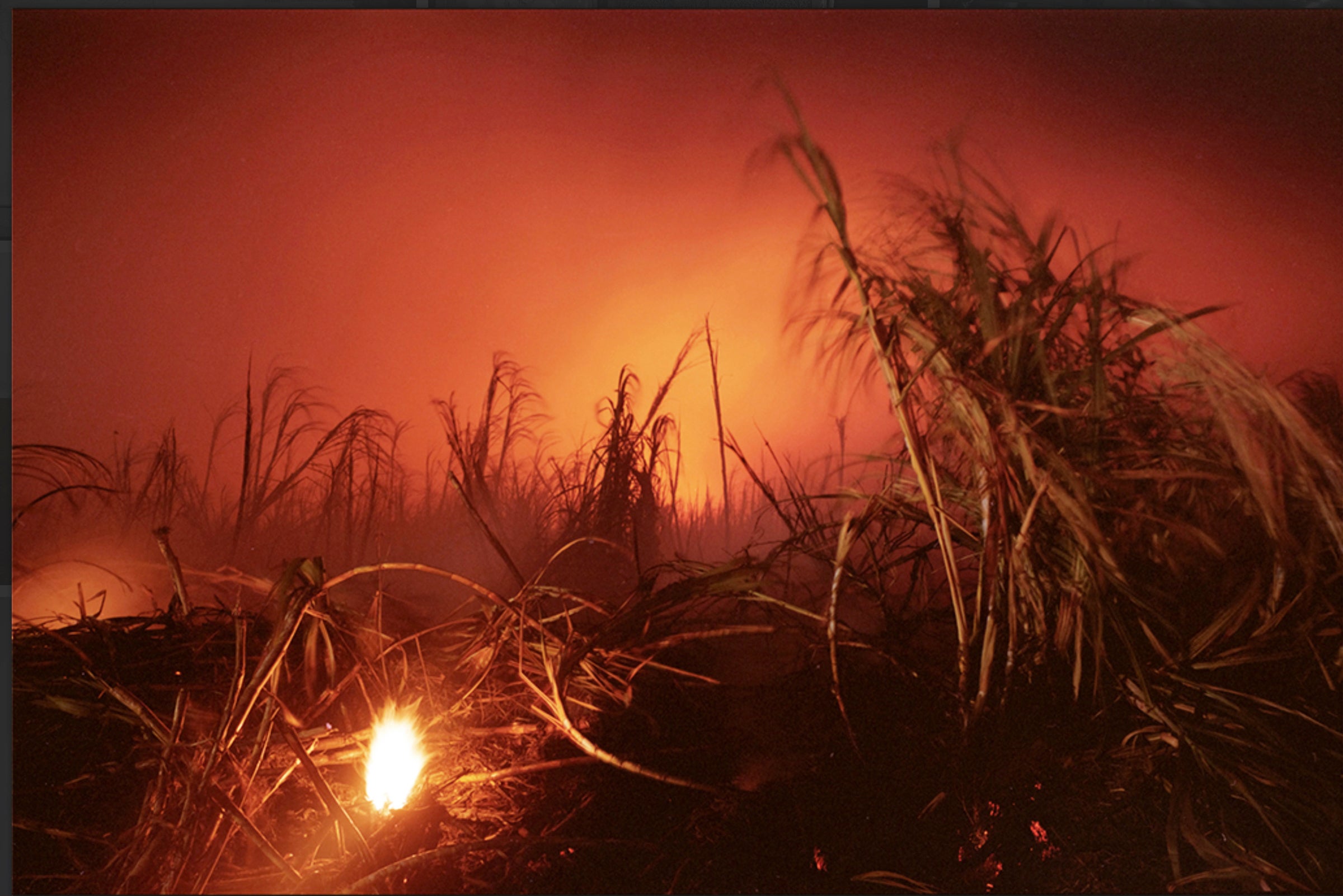 Burning the Sugar Cane, Maui, HI.