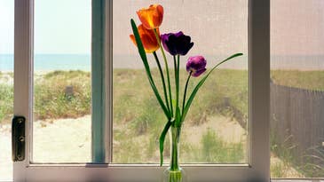 David Ulrich: How to be a more mindful photographer David Ulrich: How to be a more mindful photographer