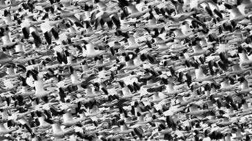 More, more, more! Our favorite reader-submitted photos of chaos More, more, more! Our favorite reader-submitted photos of chaos