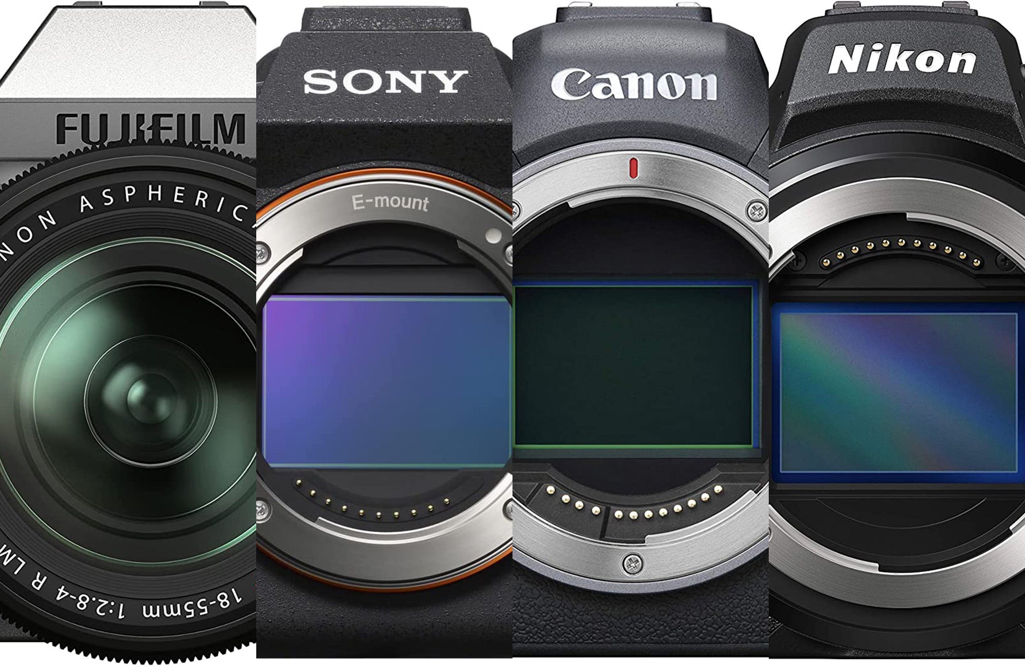 Best cameras for pet photography in 2022