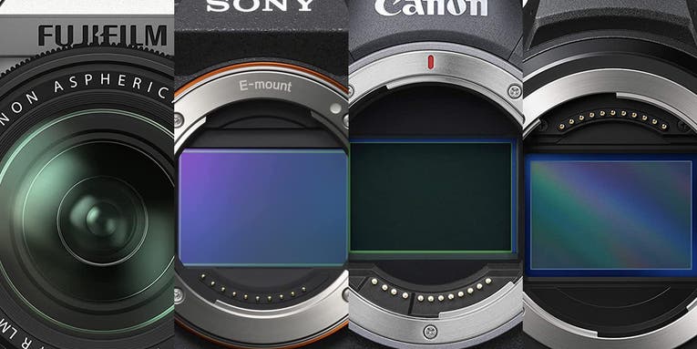 The best cameras for pet photography in 2023 The best cameras for pet photography in 2023