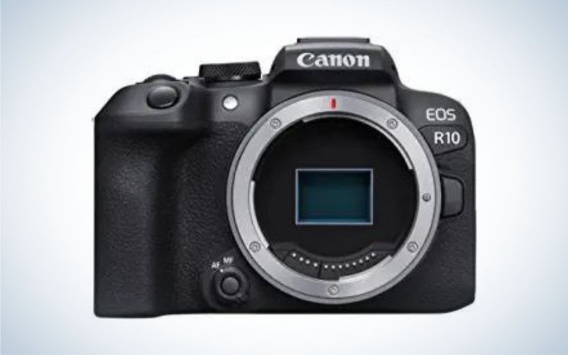 Best cameras for pet photography in 2022 EditionsPhotoArt