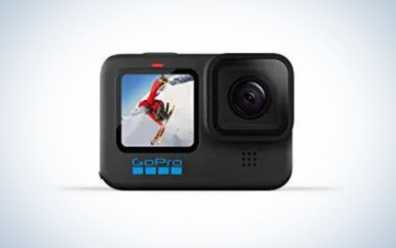 Best_Cameras_for_Pet_Photography_GoPro
