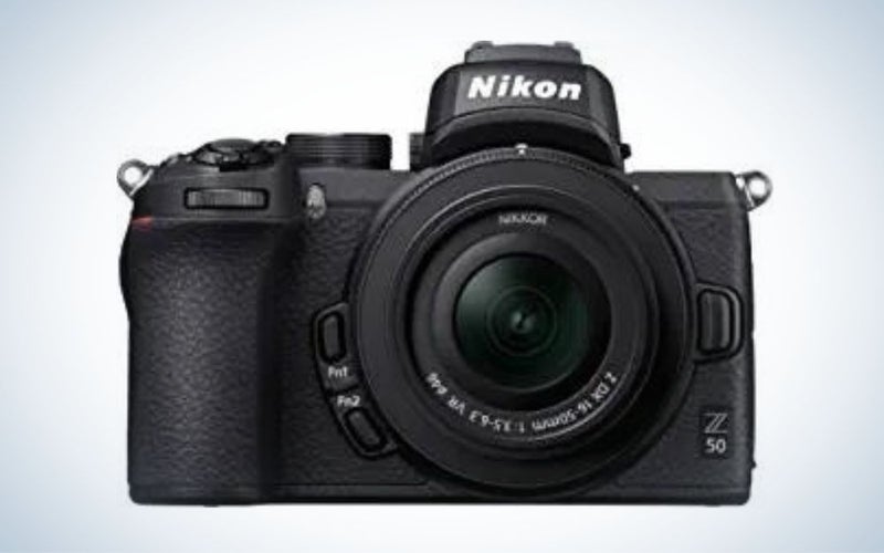 Best_Cameras_for_Pet_Photography_Nikon_2