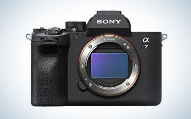 Best cameras for pet photography in 2022 EditionsPhotoArt