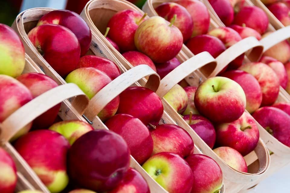 apples roadside fruit stand