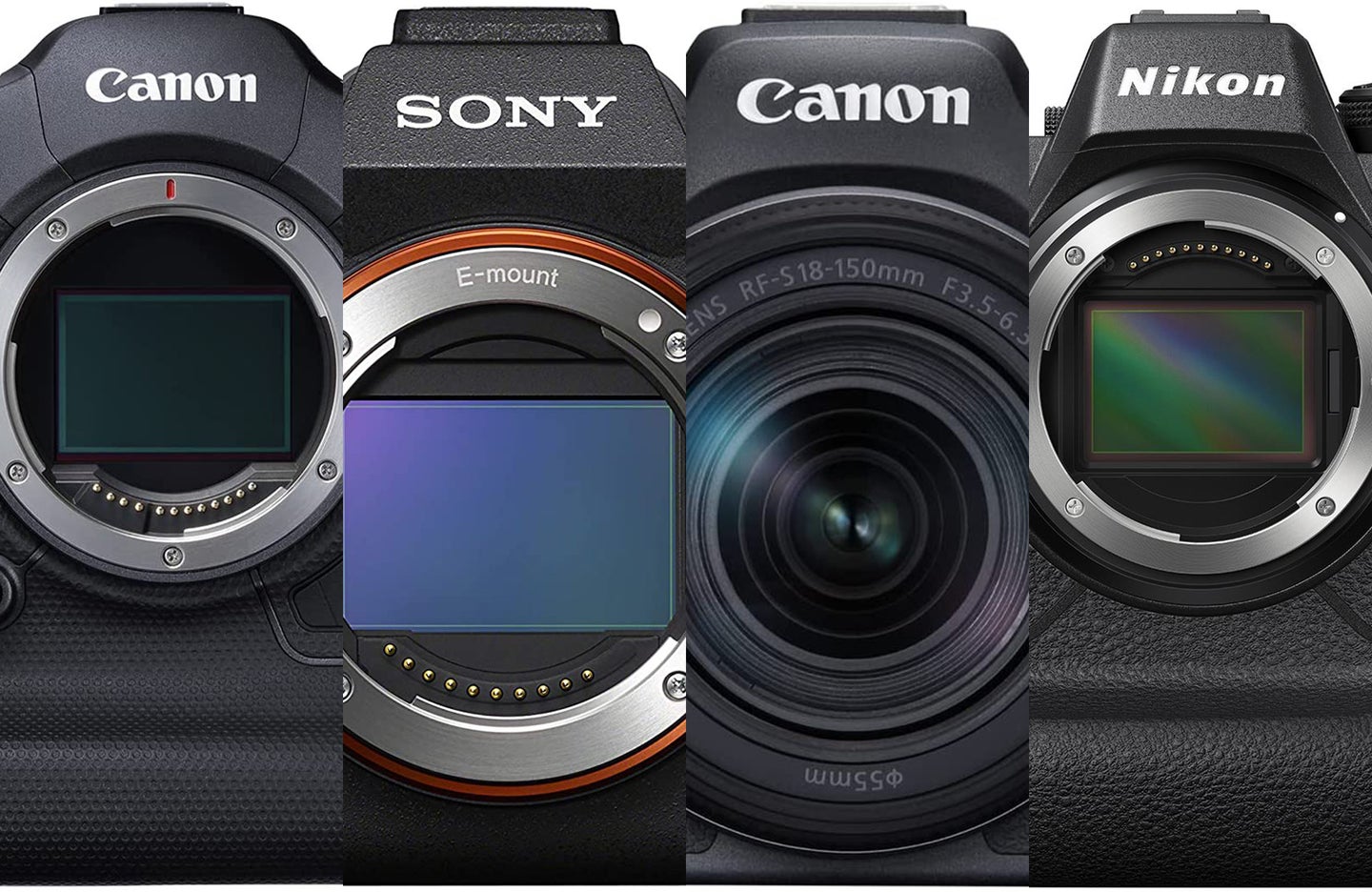 These are the best cameras for sports photography.
