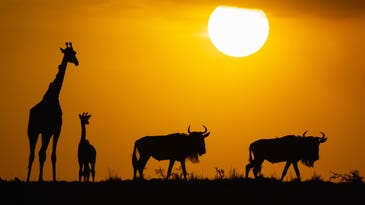 Wildlife photographer David duChemin on finding your voice Wildlife photographer David duChemin on finding your voice