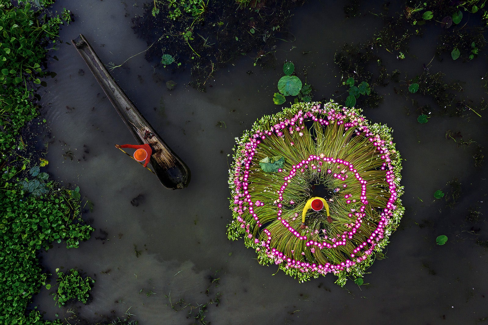rmets weather photographer of the year Barrackpore, West Bengal, India harvesting water lilies