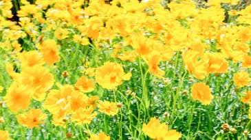 Free falling: We want to see your favorite subject Free falling: We want to see your favorite subject