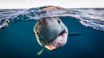 Adventures in the outback: Winners of the 2022 Australian Geographic photo awards