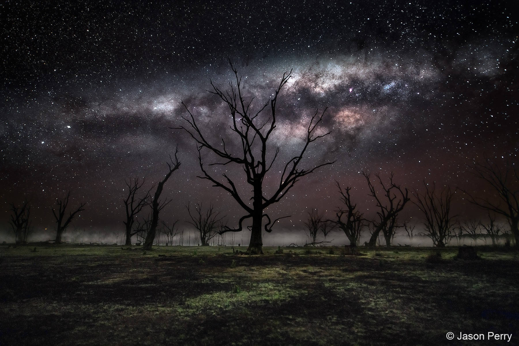 australian geographic nature photographer of the year