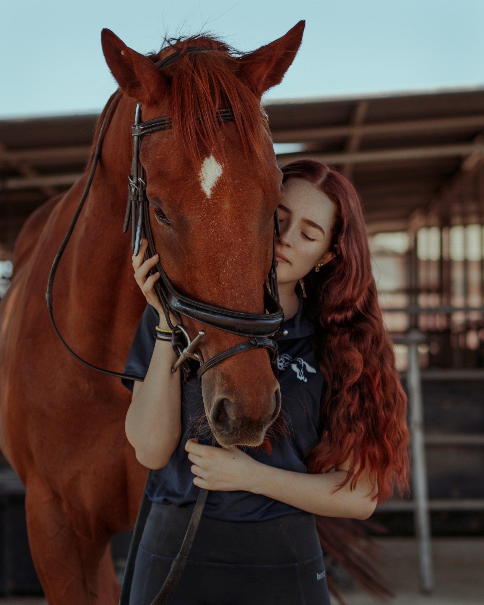 photo of the day horse and rider