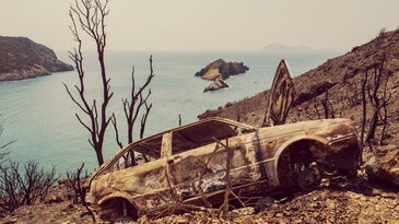 JPEG jumble: the week’s best reader-submitted photos